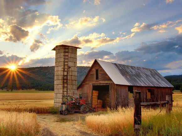 5 Mistakes New Farmers Make and How to Avoid Them