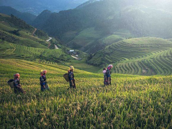 Why Soil Testing Is the First Step to a Successful Harvest